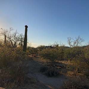 Wild Burro Desert Retreat