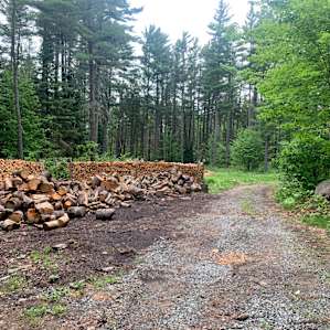 Lots and lots of firewood