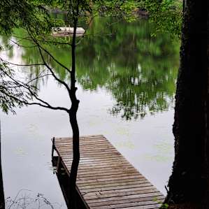 Camp Escape: The Woods