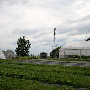 Overview of the farm