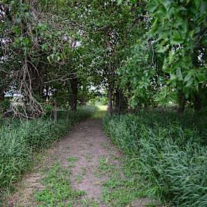 A VERY well-maintained walking trail. Not just some footpath.