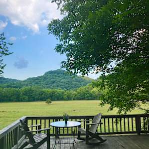 Lots of shade on the deck all day long