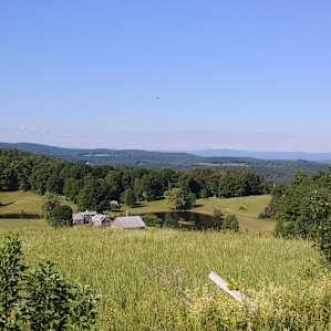 Windswept Acres Camp
