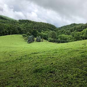 Harmony Glen