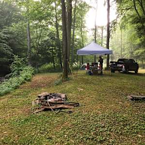 Towner's Country Paradise: Site 2