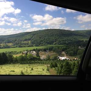 Towner's Country Paradise: Site 2