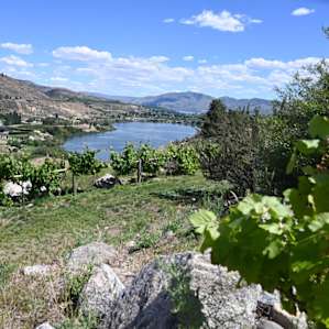 Four Lakes Winery-Vineyard-Orchard