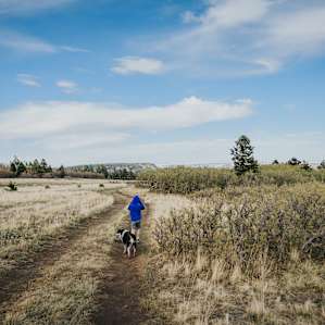 Plenty of open space to explore on the property.