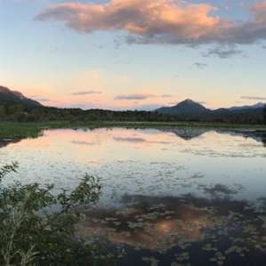 View across the swimming hole.