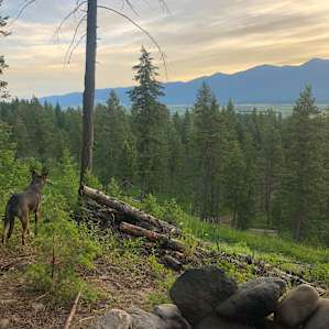 Panoramic Rocky Mountain Views!