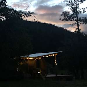 Moon A-Frame Cabin, Cedar Bloom