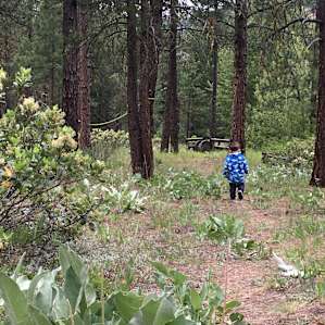 First time camper checking out the beautiful wilderness!