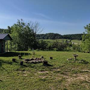 view from the cabin