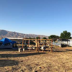 Center Camp Glampsite w/Lg Deck #6