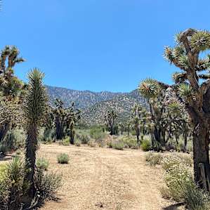 HighDesert WildernessRanch