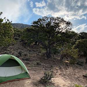 Campe Diem! Dispersed Tenting!