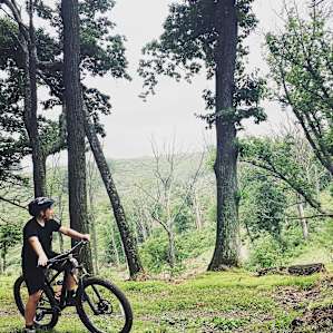 Trexler Nature Preserve Campsite