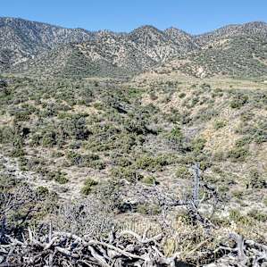 HighDesert WildernessRanch