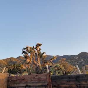 HighDesert WildernessRanch