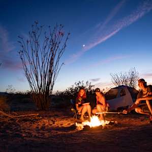 Joshua Tree South Private Campsite