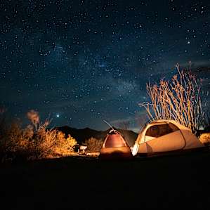 Joshua Tree South Private Campsite