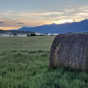 Hay thats mist!