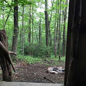 View from shed to fire pit