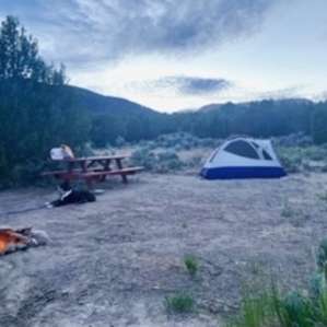 Juniper Tent Sites
