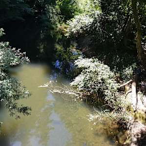 Creek from the bridge