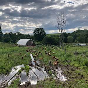 Farm Stay in Farmhand Cabin
