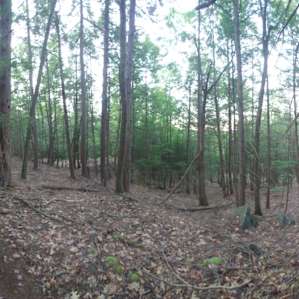 the trail to Coyote Ridge