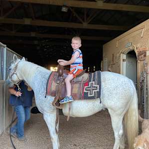 Boss Mare Ranch and Horse Park