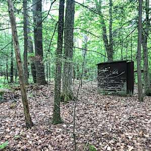 Outhouse in the woods