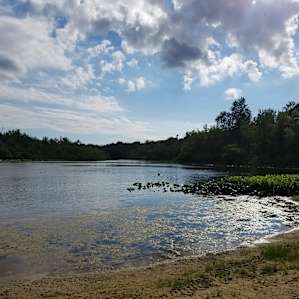 The lake