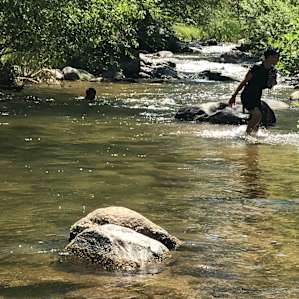 River Site Spider Camp