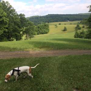 Fairy Hill Wild Camping