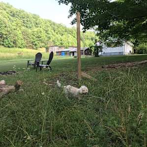 SOHO River Cabin