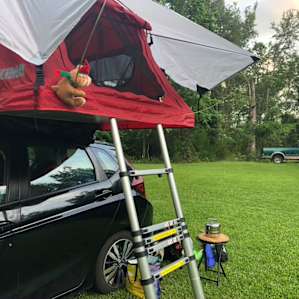 Magnolia Point Creekside Camping