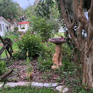 Savannah / Coastal w/ Quiet Setting