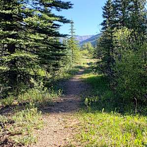 This is the hike toward town.