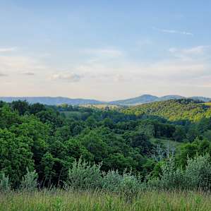 Another BEAUTIFUL view of their property.