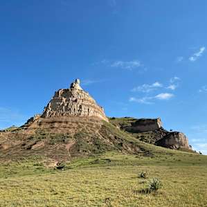 Rose Hill's Primitive Prairie