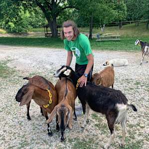 Peaceful Goat Paradise!