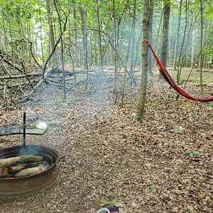 Hidden Woods--Tent Site #1