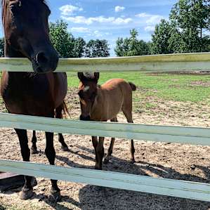 Sweet baby and mama