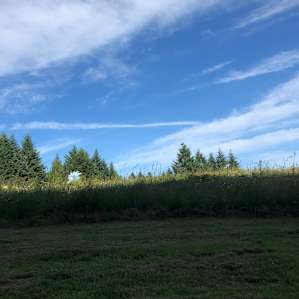 Four Directions Retreat