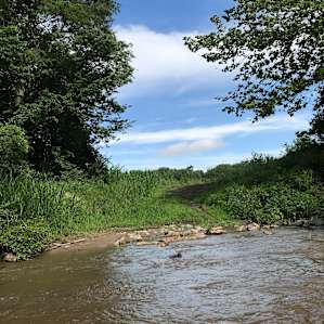 Honey Creek Hideout Camp