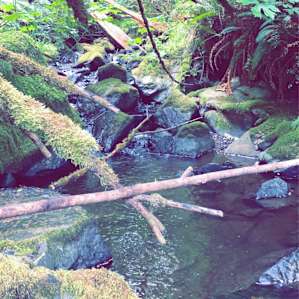 The Hobbit House