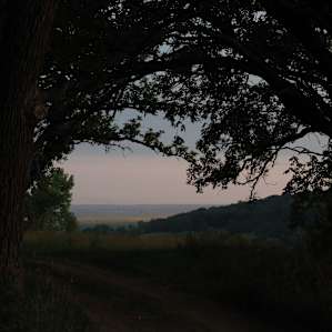 Horse Creek Adventures: Tent Sites