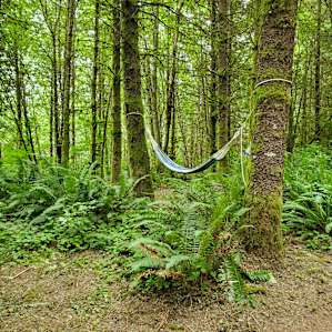 Nice, comfy hammock (a special touch from the hosts).